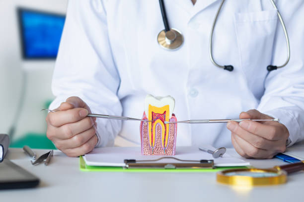 Best Emergency Orthodontic Repairs in St Clair, MI